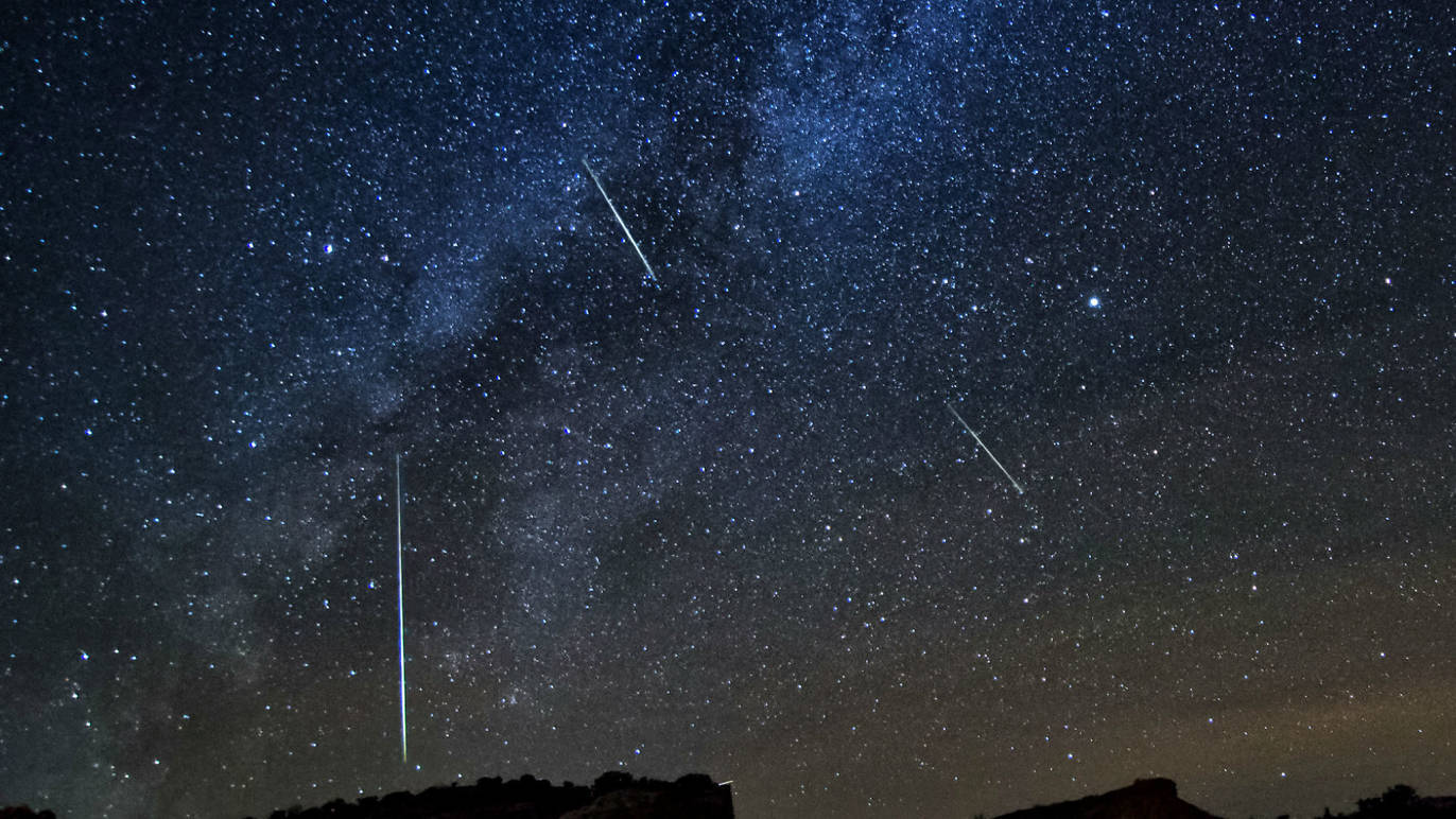 Photograph: Shutterstock