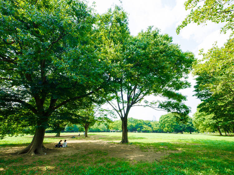 代々木公園フリーマーケット