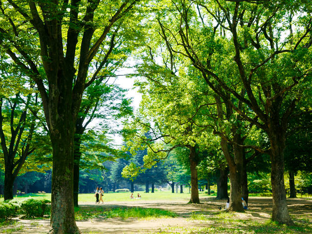 代々木公園