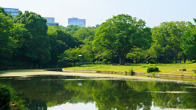 Kitanomaru Park