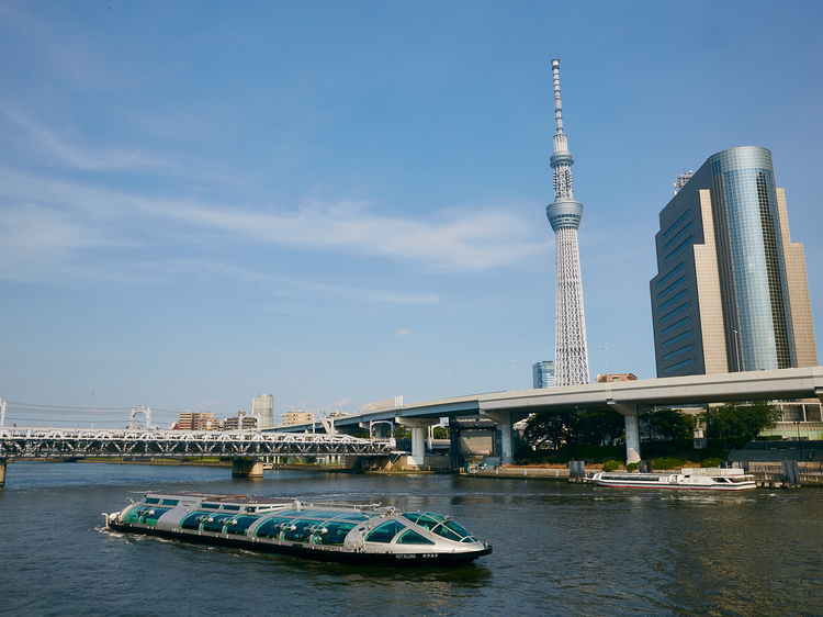 9 best parks and grand green spaces to enjoy in Tokyo