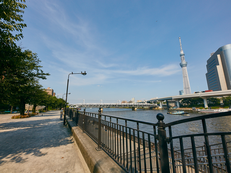 8 scenic bicycle routes in and around Tokyo 8 scenic bicycle routes in and around Tokyo