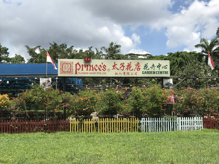Prince’s Landscape Retail