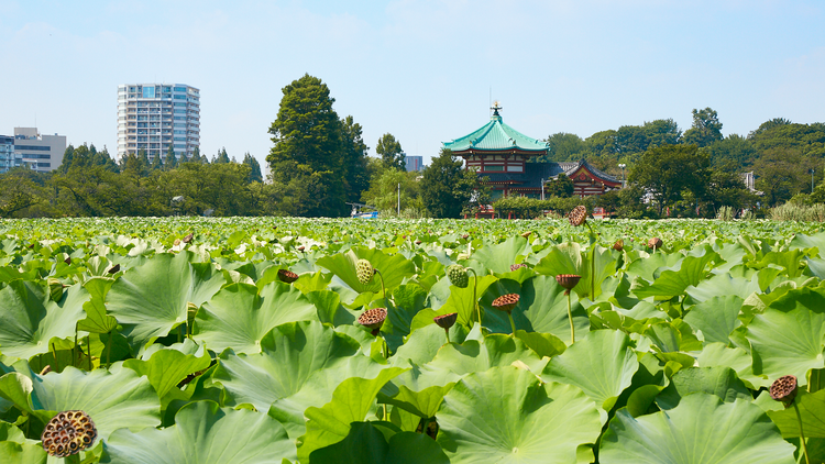 Ueno Park