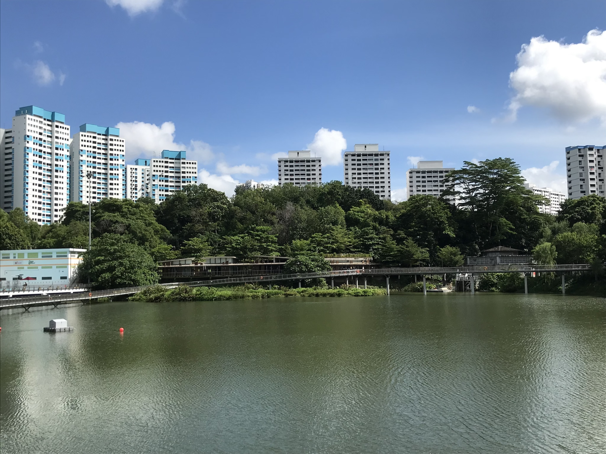 The Ultimate Guide to Bukit Panjang