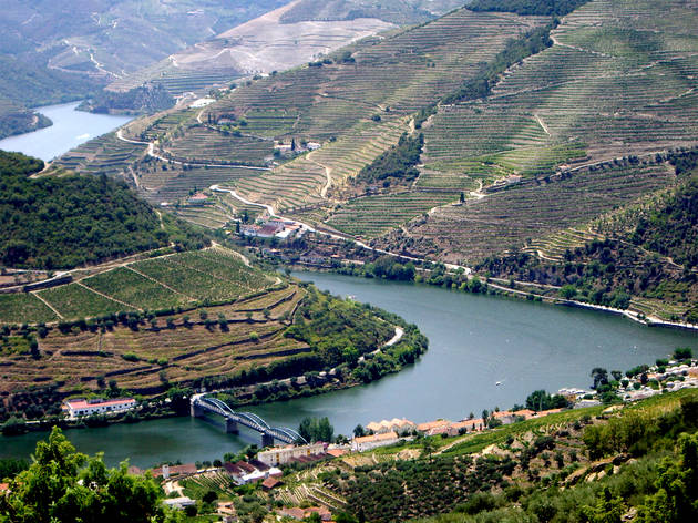 Rio Douro Douro Vinhateiro, Rio Douro
