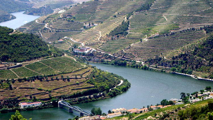 Douro Vinhateiro, Rio Douro