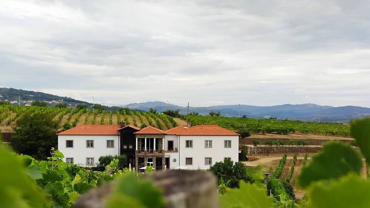 Quinta do Portal no Douro