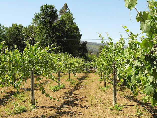 Quintas de Melgaço Quintas de Melgaço