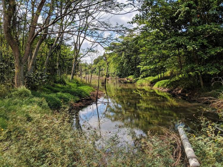 Explore a neighbourhood park