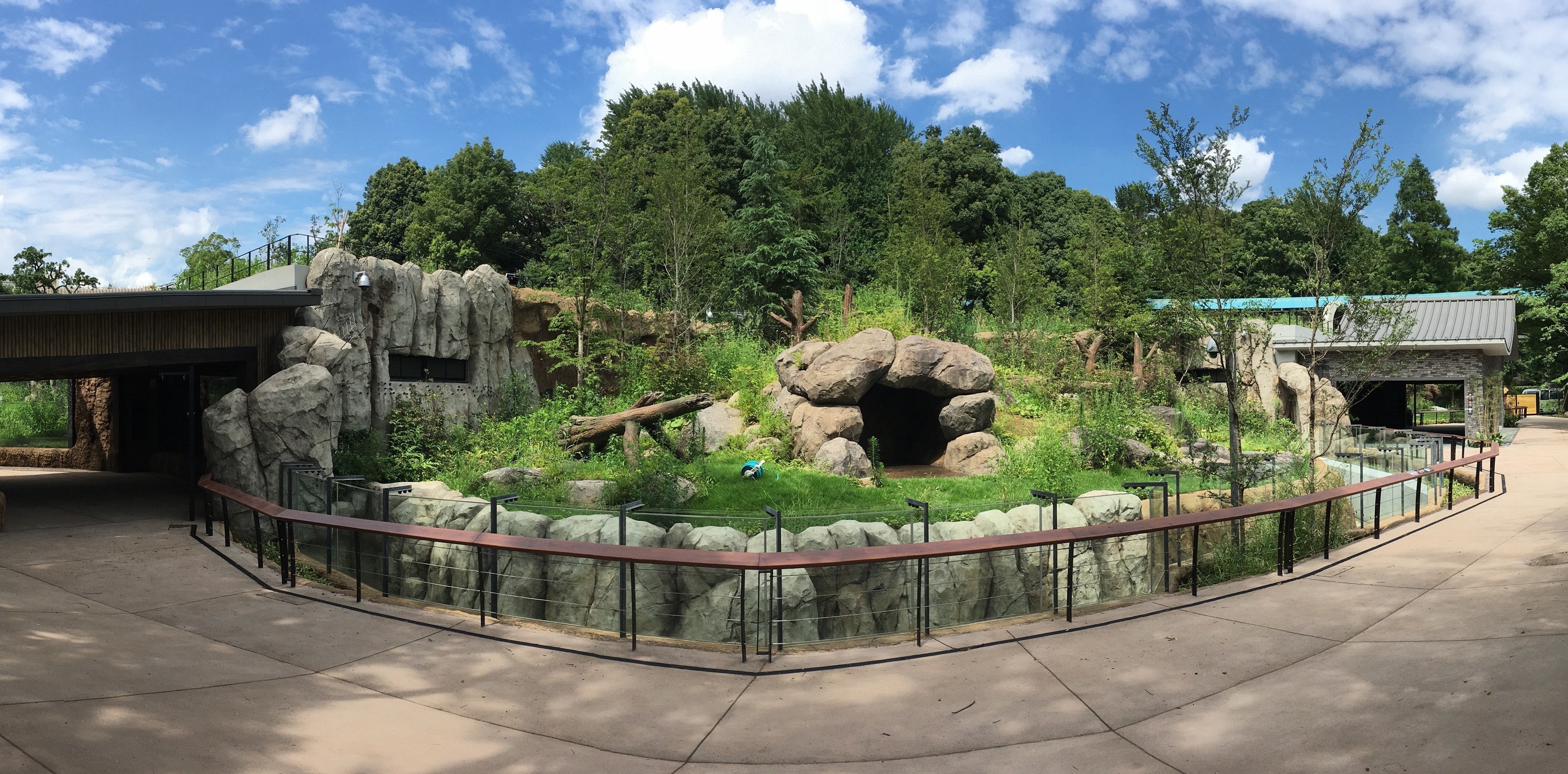 ueno-zoo-has-opened-a-new-panda-enclosure-that-resembles-the-bear-s-habitat