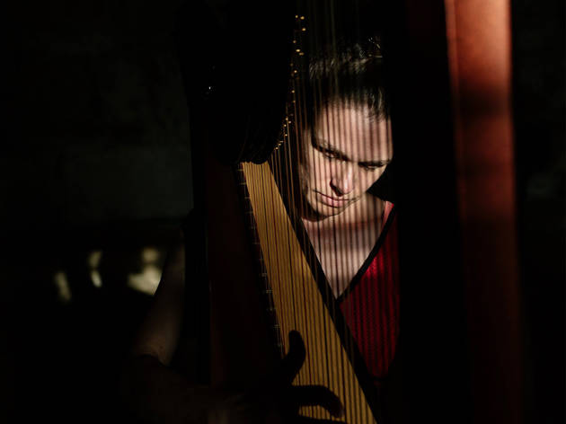Angélica Salvi Música, Harpistas, Angélica Salvi