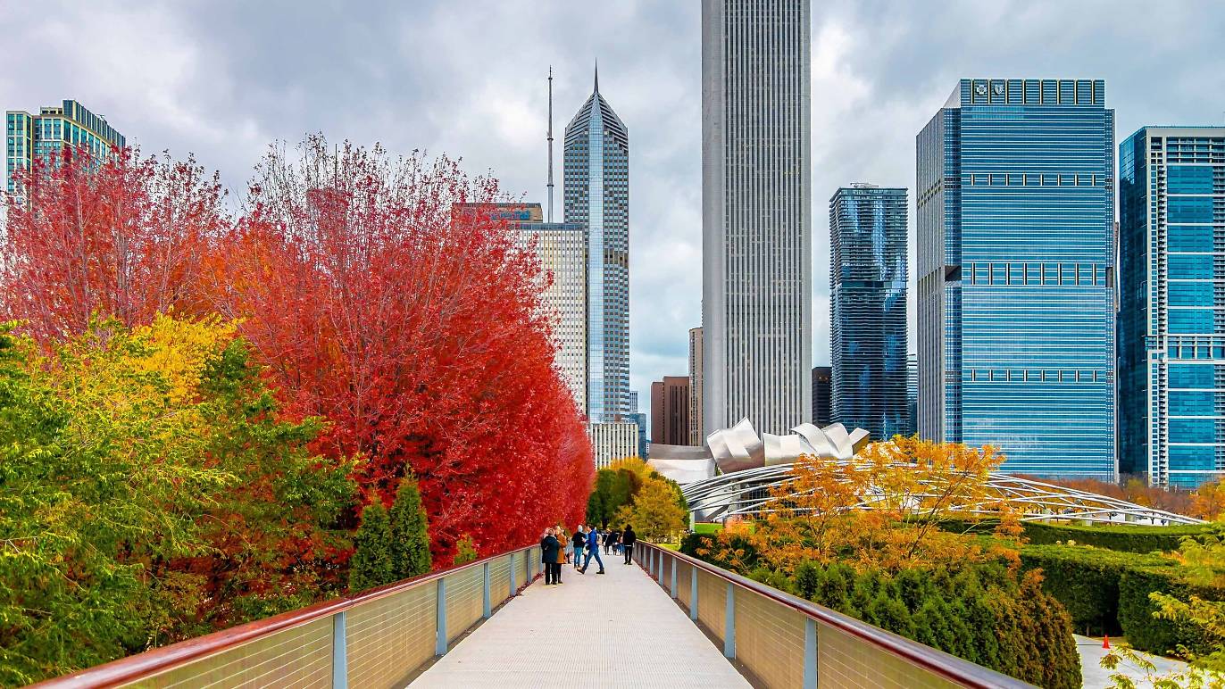 Best Things To Do In The Fall In Chicago 2020