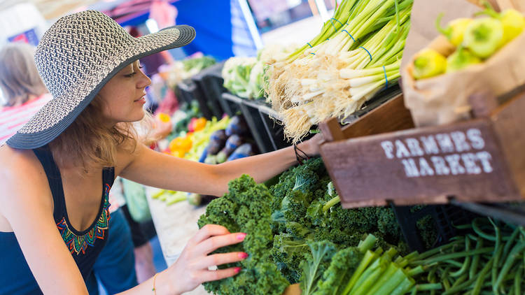 Plant-Based Food Festival at Gulfstream