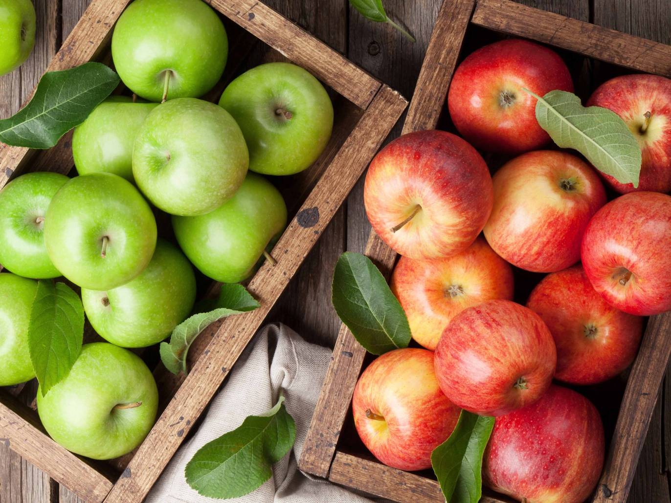 29 Farms and Orchards for Apple Picking Near NYC in 2023