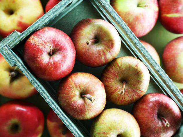 apples