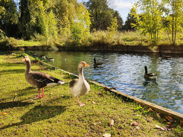 Photograph: Shutterstock