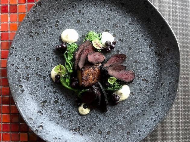 Seal Fest, the alternative culinary festival based on using seal meat, is back Seal Fest, the alternative culinary festival based on using seal meat, is back