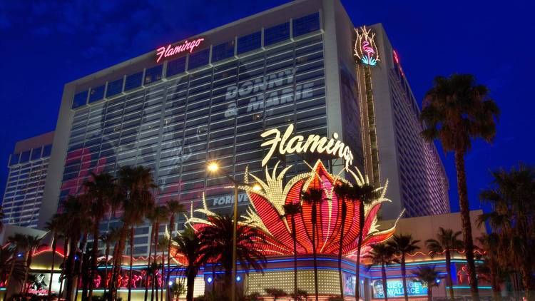 Las Vegas, NV: The Flamingo