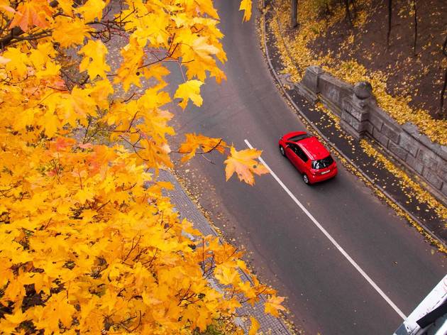 Fall road trip