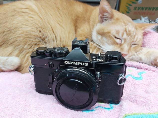 Sunrise Photo Co Sunrise Photo Co