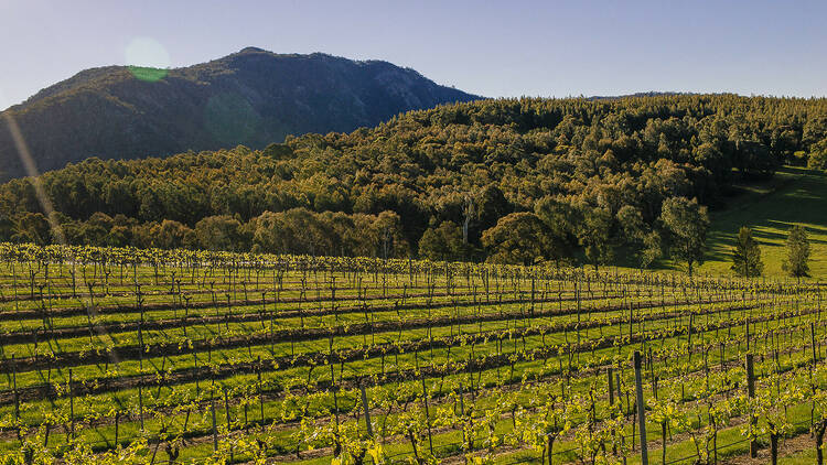 Mount Langi Ghiran