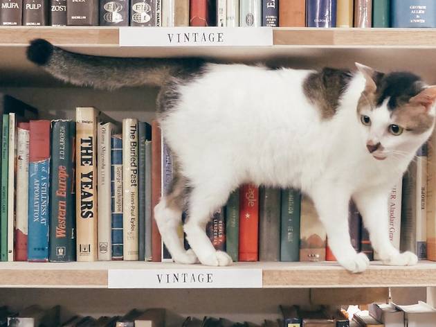 BooksActually BooksActually