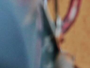 パブリックキャット 第42回 パブリックキャット 第42回