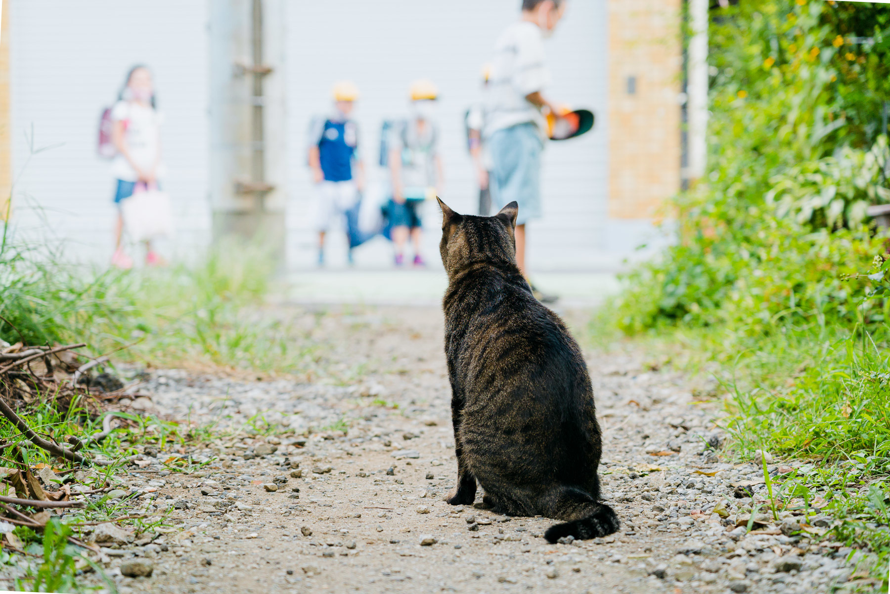 パブリックキャット 第42回