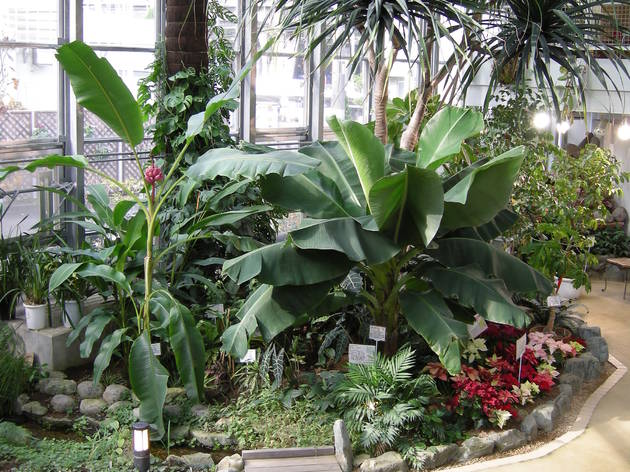 渋谷区ふれあい植物センタ