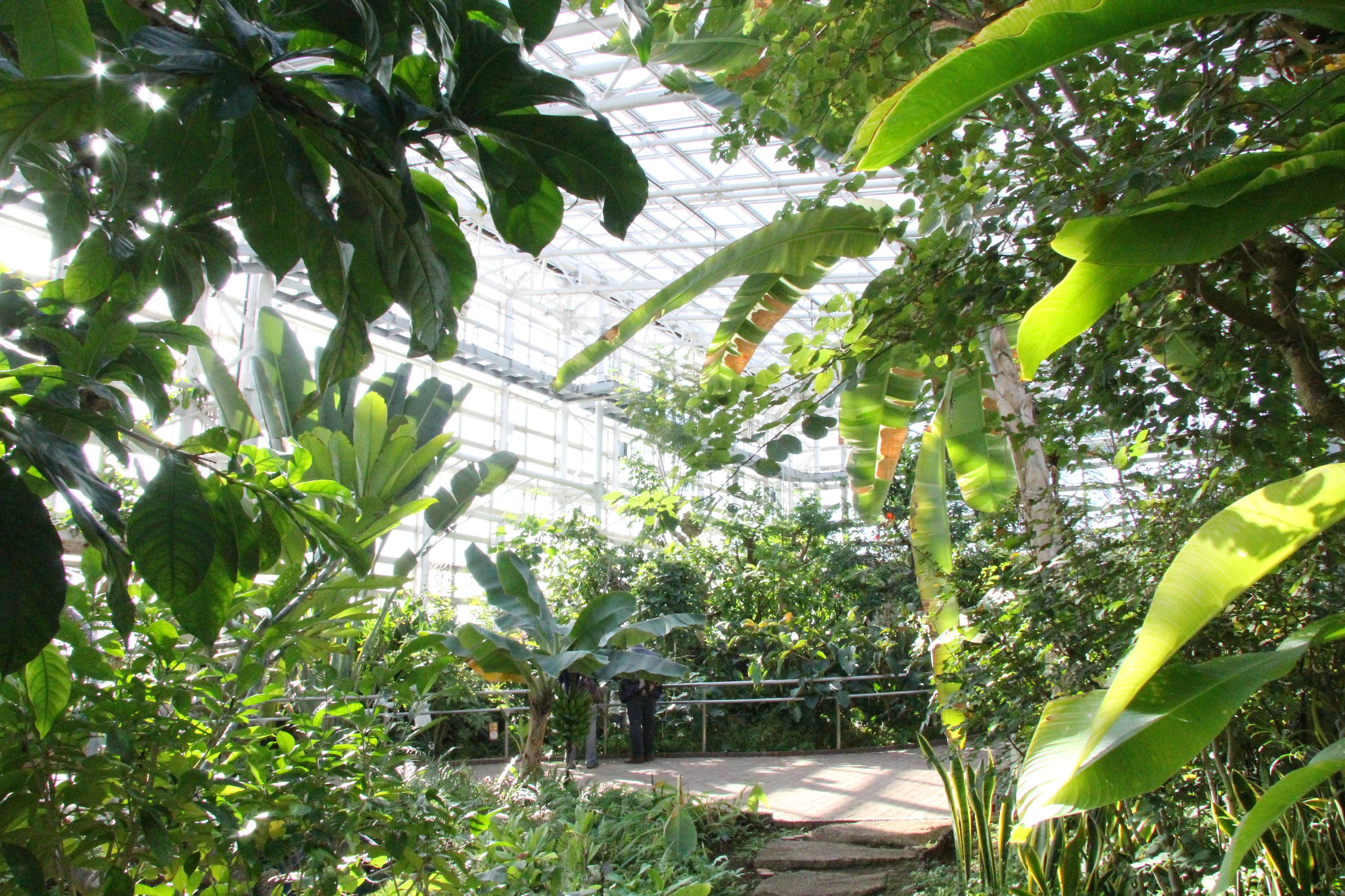 Jindai Botanical Gardens