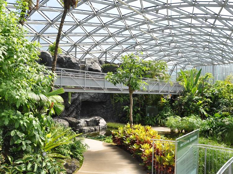 Shinjuku Gyoen greenhouse