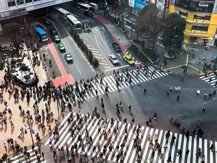 東京在住者、東京発着の旅行をすでに予約している場合