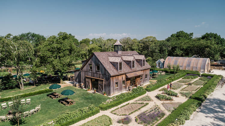 Beach Plum Farm in Cape May, NJ