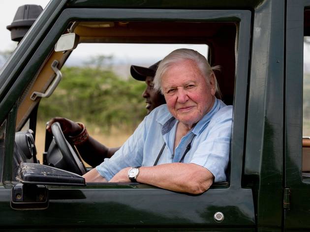 David Attenborough: A Life on Our Planet David Attenborough: A Life on Our Planet