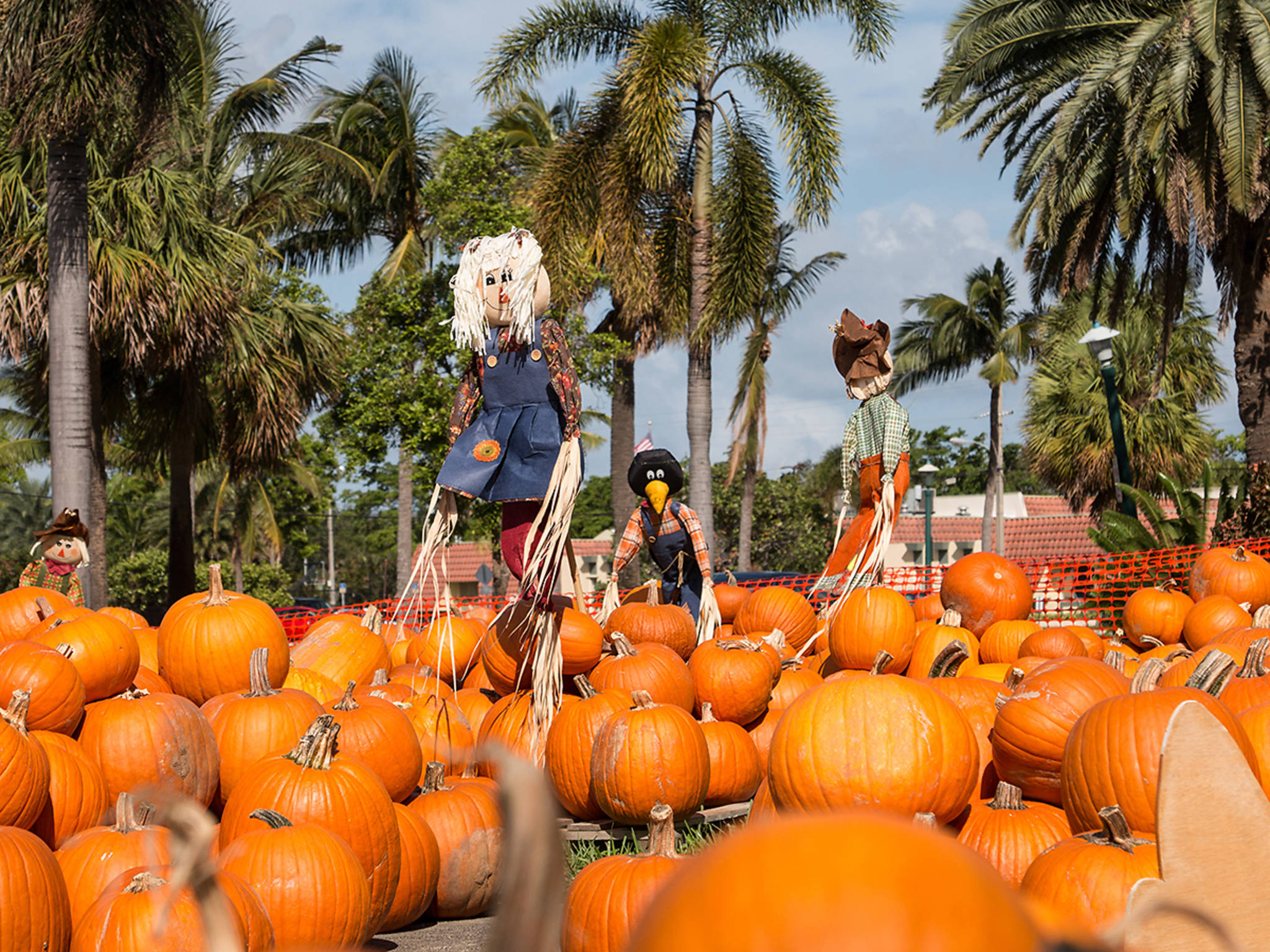 Miami Events Calendar 2021 Don t Miss The Best Events This Year 
