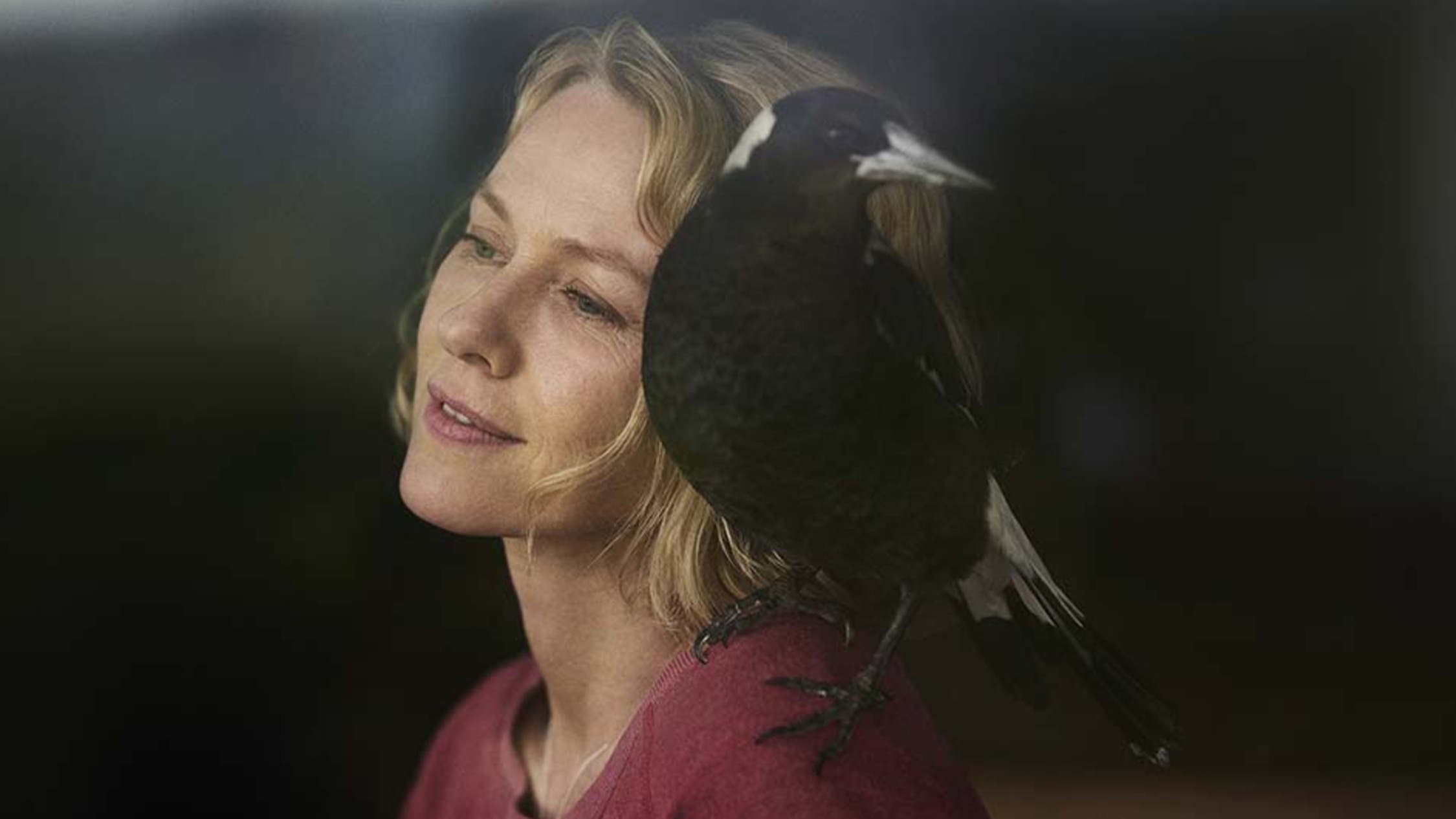 Read Time Out's review of Naomi Watts film Penguin Bloom