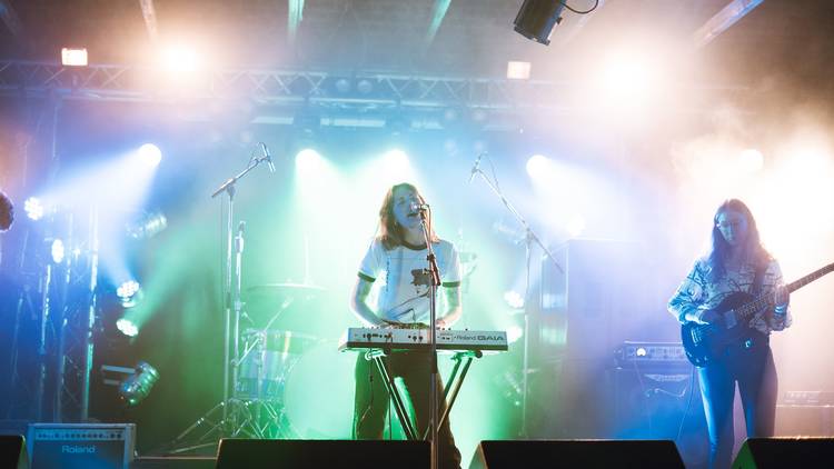 Rock band Total Pace performing at the Zoo in Brisbane