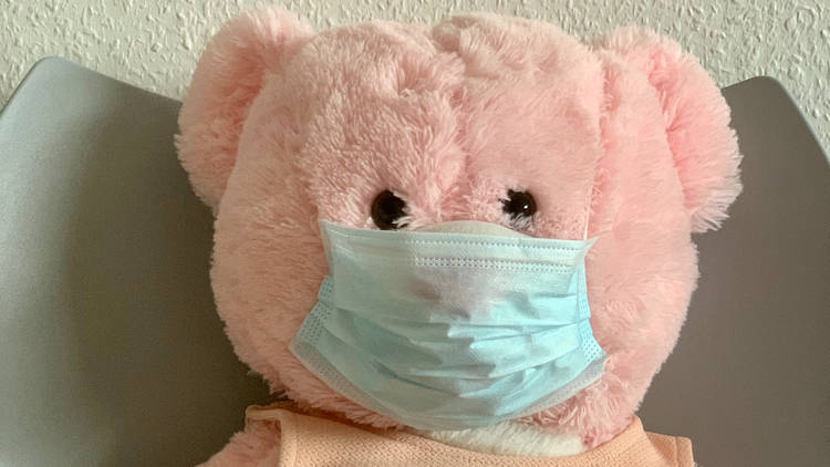 Teddy bear, face mask