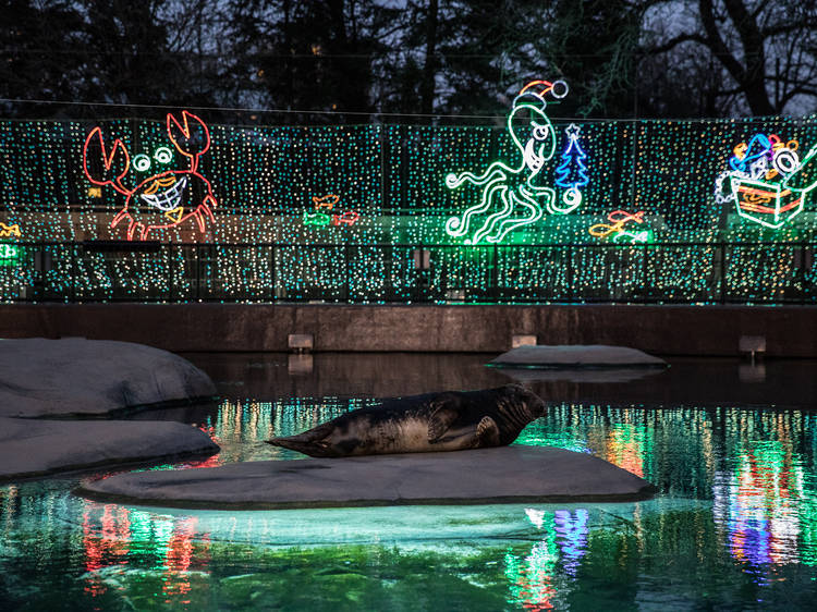 ZooLights | Chicago, IL