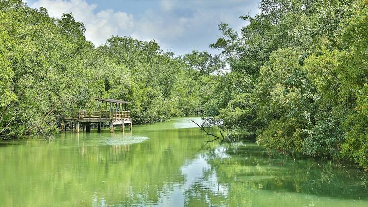 Pasir Ris Park