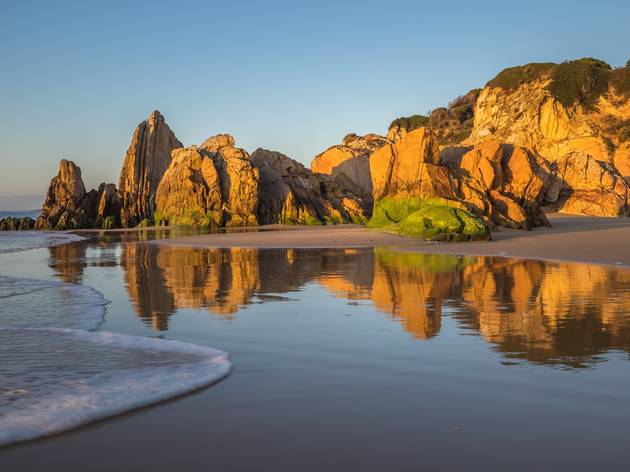 The Sapphire Coast, by David Rogers The Sapphire Coast, by David Rogers