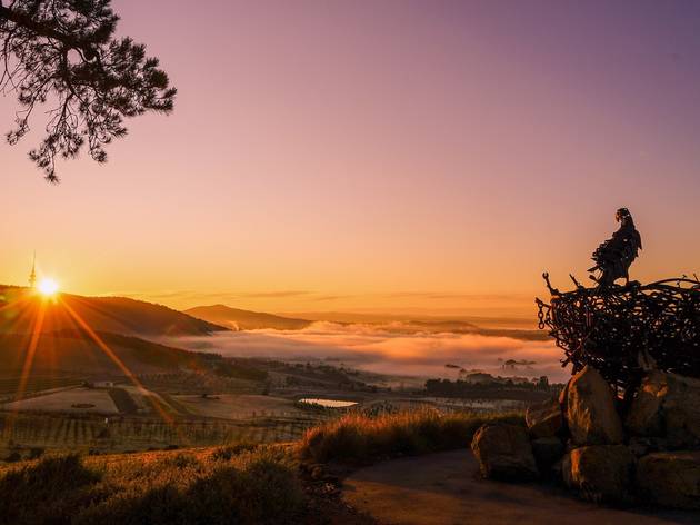 Dairy Farmers Hill Lookout, by Catarina Rodrigues Dairy Farmers Hill Lookout, by Catarina Rodrigues