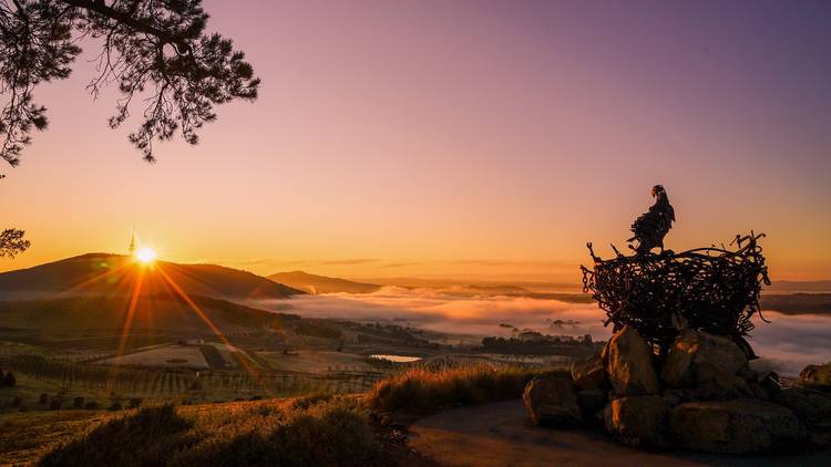 Dairy Farmers Hill Lookout, by Catarina Rodrigues 