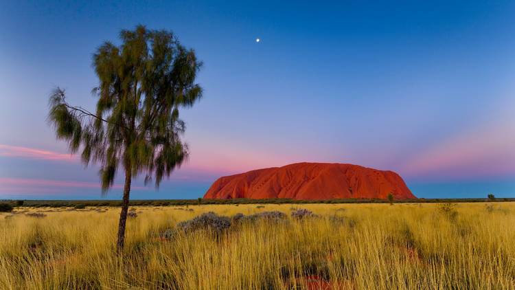 Uluru, by Andrew Barnes