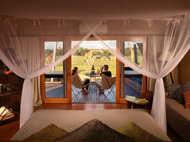 Zoofari Lodge Dubbo Zoofari Lodge Dubbo