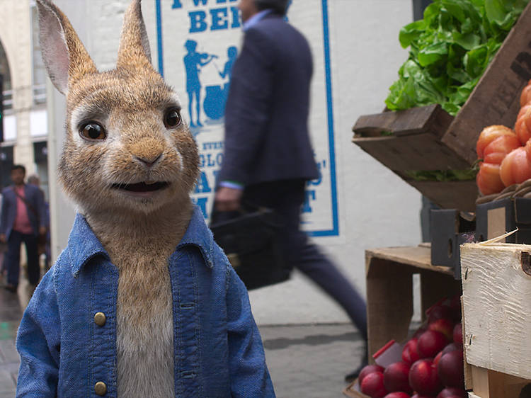 Peter Rabbit 2