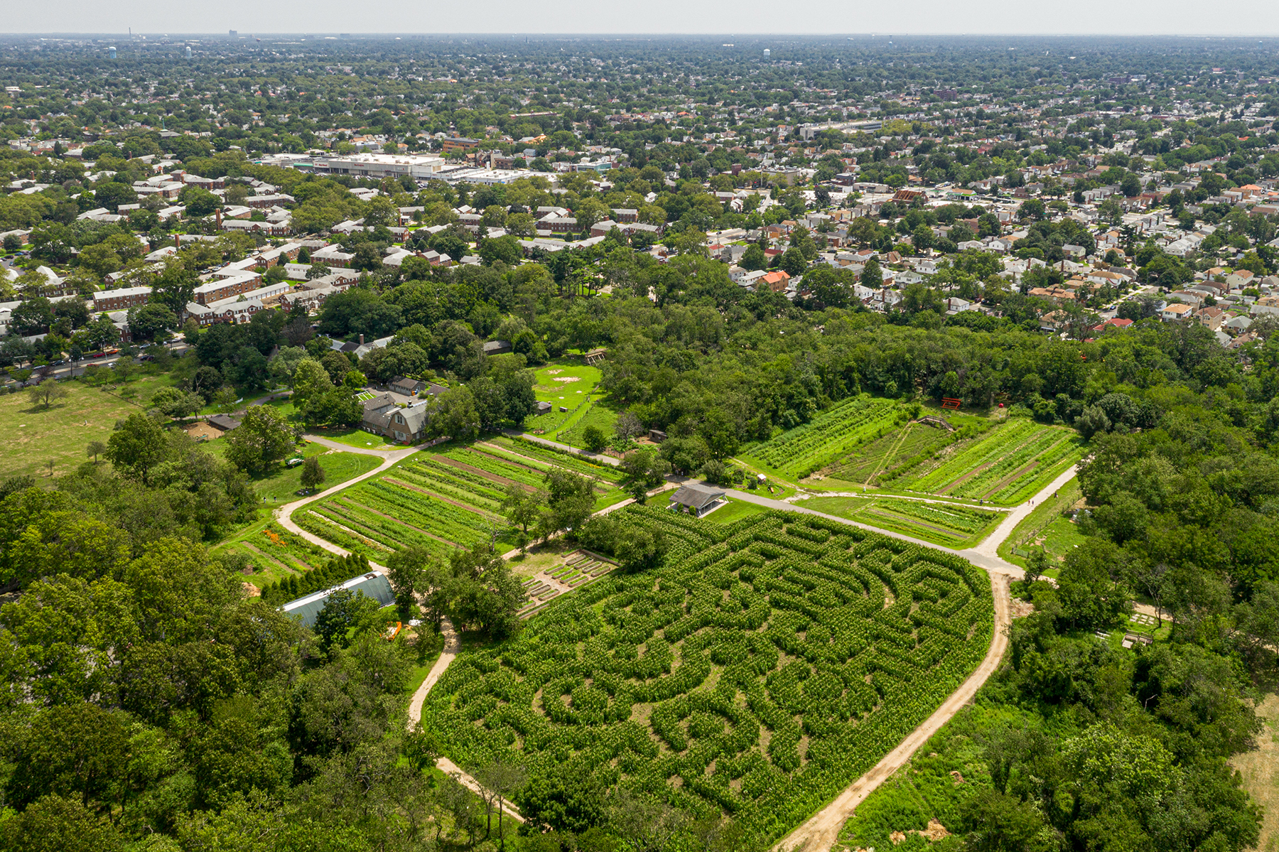 The Amazing Minneapolis Maize Maze