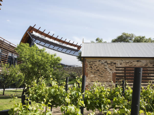 National Wine Centre The exterior of a historic brick building and grape vines