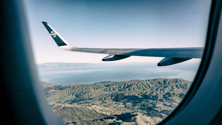 Air New Zealand plane in flight